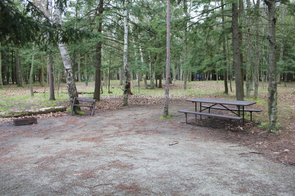 Photo of Campsite 085 in Daisy Field North Campground at Potawatomi